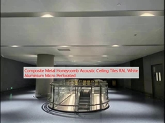 複合金属 ハニーコム アコースティック 天井タイル RAL ホワイト アルミニウム マイクロパフォー化