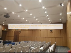 Ruang ceramah Panel dinding kayu veneer linier