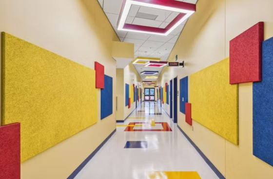 Customizable Wood Wool Acoustic Panel for Different Panel Sizes and Colors