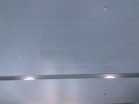 Composite Metal Honeycomb Acoustic Ceiling Tiles RAL White Aluminium Micro Perforated