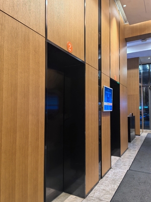 0.5mm Microperforated Acoustic Wood Wall Panels Decorative Timber Board Building Lobby