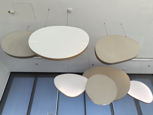 Opea Area Office Irregular Customized Shape Microperforated Acoustic Ceiling Tiles Panels