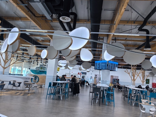 Opea Area Office Irregular Customized Shape Microperforated Acoustic Ceiling Tiles Panels