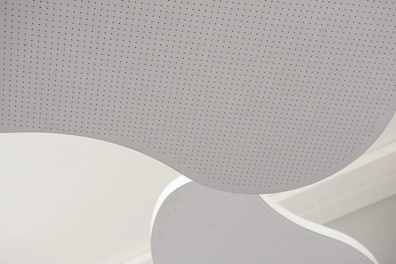 Opea Area Office Irregular Customized Shape Microperforated Acoustic Ceiling Tiles Panels