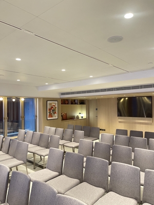 Conference Hall Ceiling Tile Microperforated Acoustic Wood Panels Soundproofing Material