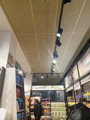 Resturant Ceiling Tile Wood Wool Cement Acoustic Panel Soundproofing Fireproof Board