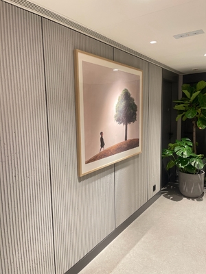 5/3mm Fireproof Soundproofing Sound Board Wall Building Decorative Slat Acoustic Panel