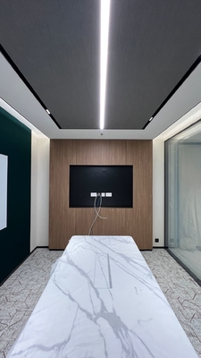 1.8/1.8/0.5mm Acoustic Nano Microperforated Wood Panels Lamitak Finish Meeting Room