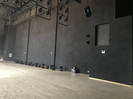 Auditorium Side Wall Black RAL Cement Wood Wool Acoustic Panels Soundproofing Board