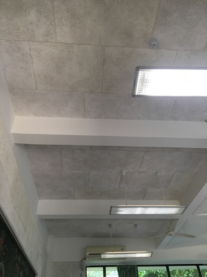 Primary School Classroom RAL Painting Wood Wool Cement Acoustic Panel Sound-absorbing Board