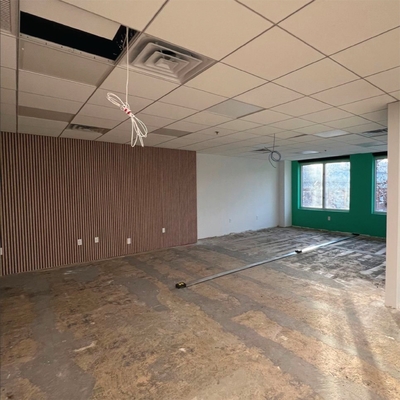 Office Timber Slat Acoustic Wall Panel Soundproof Interior Decoration Building Material