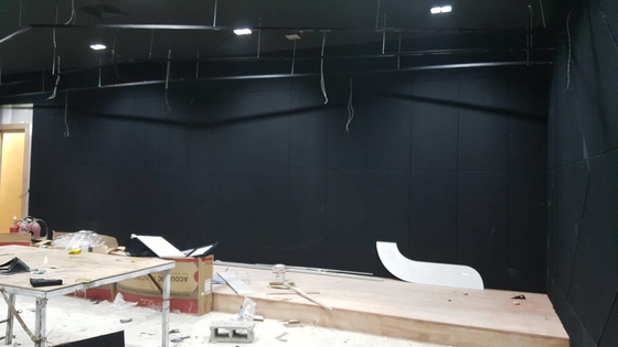 2/2/0.5mm Formica Laminate Black Color Microperforated Wooden Sound Absorbing Acoustic Panels