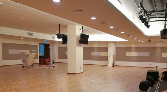 Multipurpose Hall Timber Microperforated Aluminium Composite Soundproofing Panels