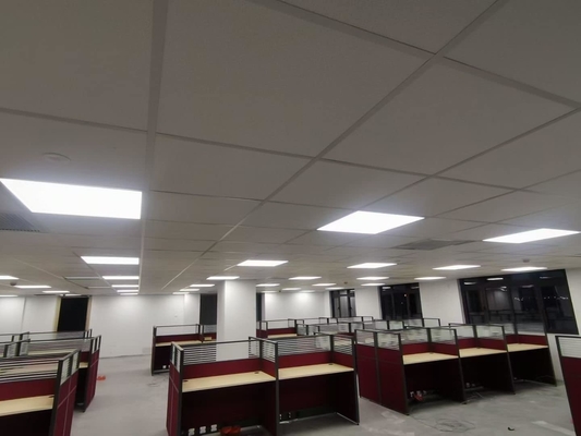 Office Ceiling Tile RAL White Wood Wool Cement Acoustic Panels Soundproofing Board