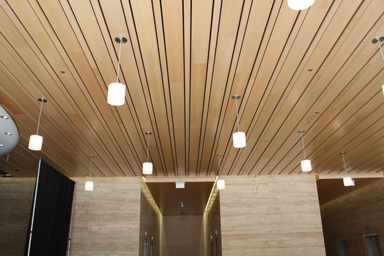 2/2/0.5mm Micro Planks Perforated Wooden Sound Absorbing Wall Ceiling Acoustic Panels