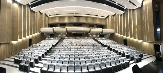 2/2/0.5mm Diffuser Auditorium Microperforated Wooden Sound Absorbing Wall Acoustic Panels