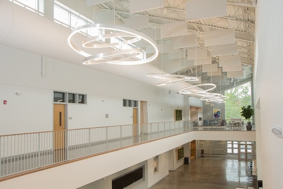 School Ceiling Tile Wood Wool Cement Acoustic Baffles Sound Absorption Isolation Board