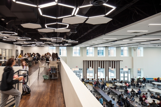 RAL Black Ceiling Baffles Wood Wool Cement Acoustic Panels Sound Absorption Board