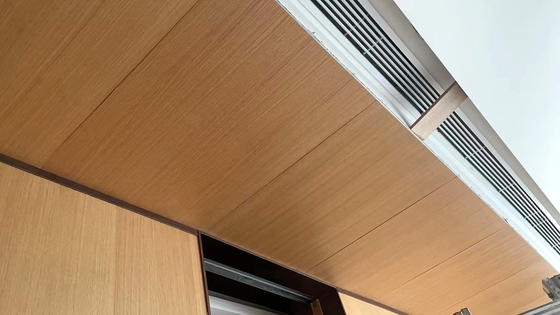 University Auditorium  2/2/0.5mm NANO Micro Perforated Acousitc Panels Sound Insulation Board