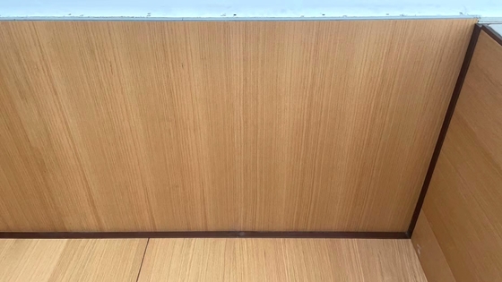 University Auditorium  2/2/0.5mm NANO Micro Perforated Acousitc Panels Sound Insulation Board