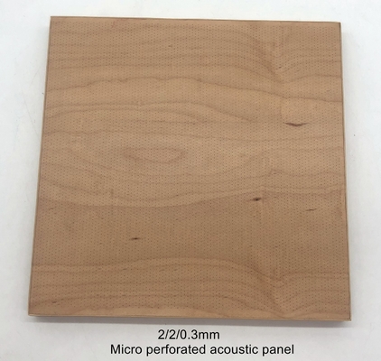 University Auditorium  2/2/0.5mm NANO Micro Perforated Acousitc Panels Sound Insulation Board