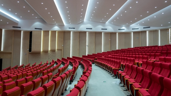 Auditorium Wall Panels 2/2/0.5mm NANO Microperforated Sound Absorption Acoustic Board