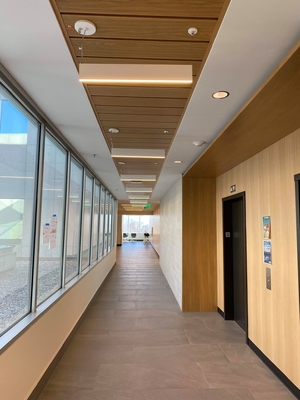 School Wall Panels 2/2/0.5mm NANO Microperforated Sound Absorption Acoustic Board
