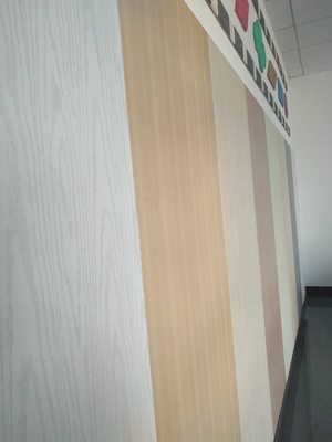 3D Wall Panel Easy Installation Metal Microperforated Acoustic Panel Soundproof Board
