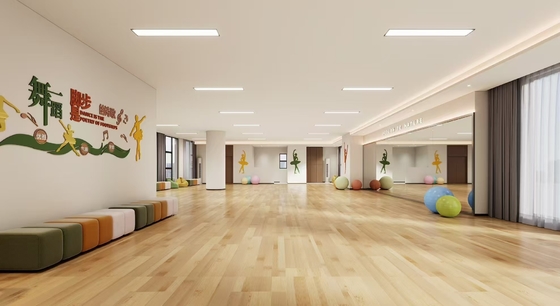 Dance Room Ceiling Tile 2/2/0.5mm Microperforated Acoustic Panels Soundproofing Board