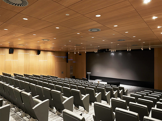 Conference Hall 0.5mm Microperforated Acoustic Wall Panels Soundproofing Ceiling Board