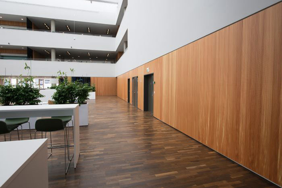 Invisible Acoustic Solution 0.5mm Microperforated Wall Panels Soundproofing Ceiling Board