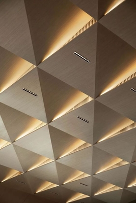 Training Room 3D triangle microperforated acoustic diffuser ceiing tile wooden sound absorption