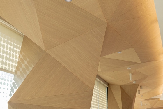3D Triangle 2/2/0.5mm Ceiling Tiles NANO Microperforated Sound Absorption Acoustic Board