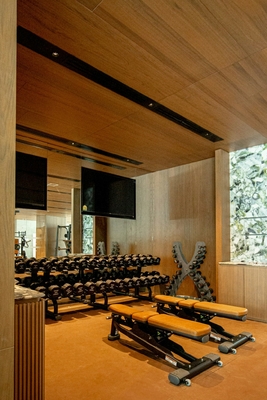 Micro Perforated Acoustic Panel 2/2/0.5mm NRC 0.9 Veneer Finish