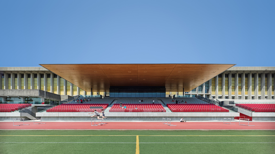 School Gym Open Ceiling Aluminum Microperforated Walnut Anti-Mould Acoustic Panel