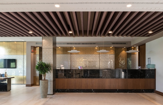 2/2/0.5mm Wooden Microperforated Acoustic Baffle Ceiling Tile Torsion Spring Panelized