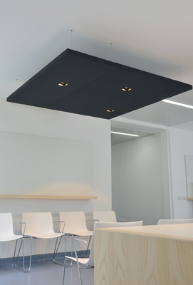 High Sound Asborption Office Ceiling Tiles Cement Board Wood Wool Acoustic Panels