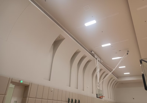 Sound Absorbing Suspended Ceiling Tiles Aluminum Microperforated Acoustic Panels