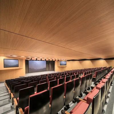Auditorium Ceiling Tile Woodgrain Nano 2/2/0.5mm Microperforated Sound Absorbing Panels