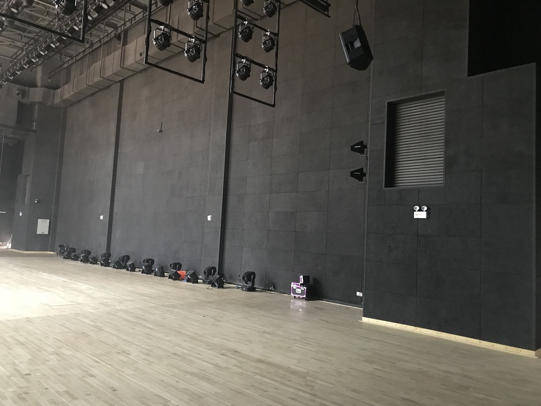 Auditorium Side Wall Black RAL Cement Wood Wool Acoustic Panels Soundproofing Board