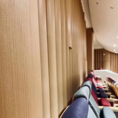 Audytorium Płytka ścienna mikroferowana, akustyczna